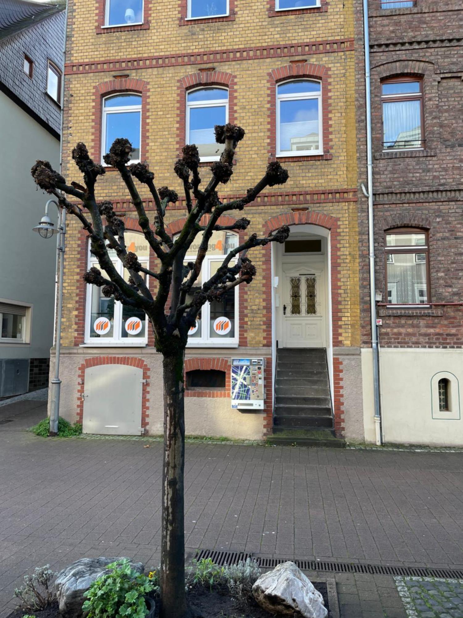 Good Times In St. Goar Apartamento Sankt Goar Exterior foto